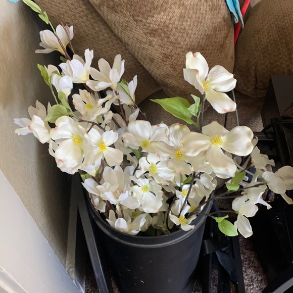 4 Stems - Picture 3 of 3